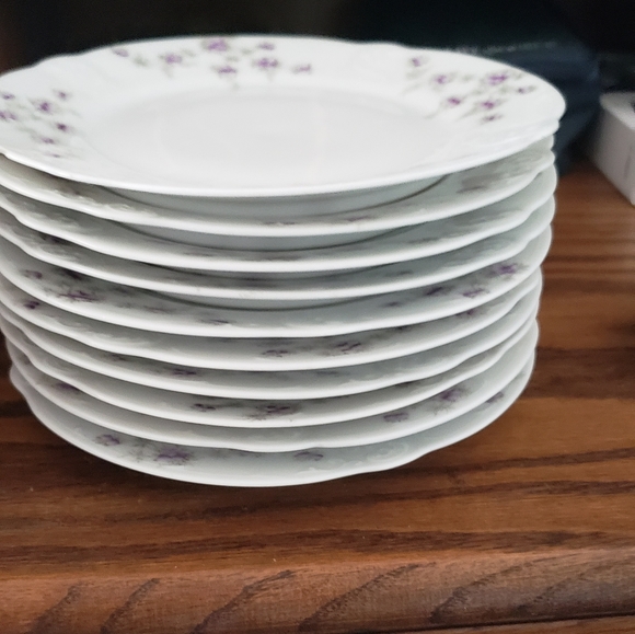 Altrohla Austria 10 Dinner Plates , 10 Salad plates ,4 Decorative plates . - Picture 6 of 13